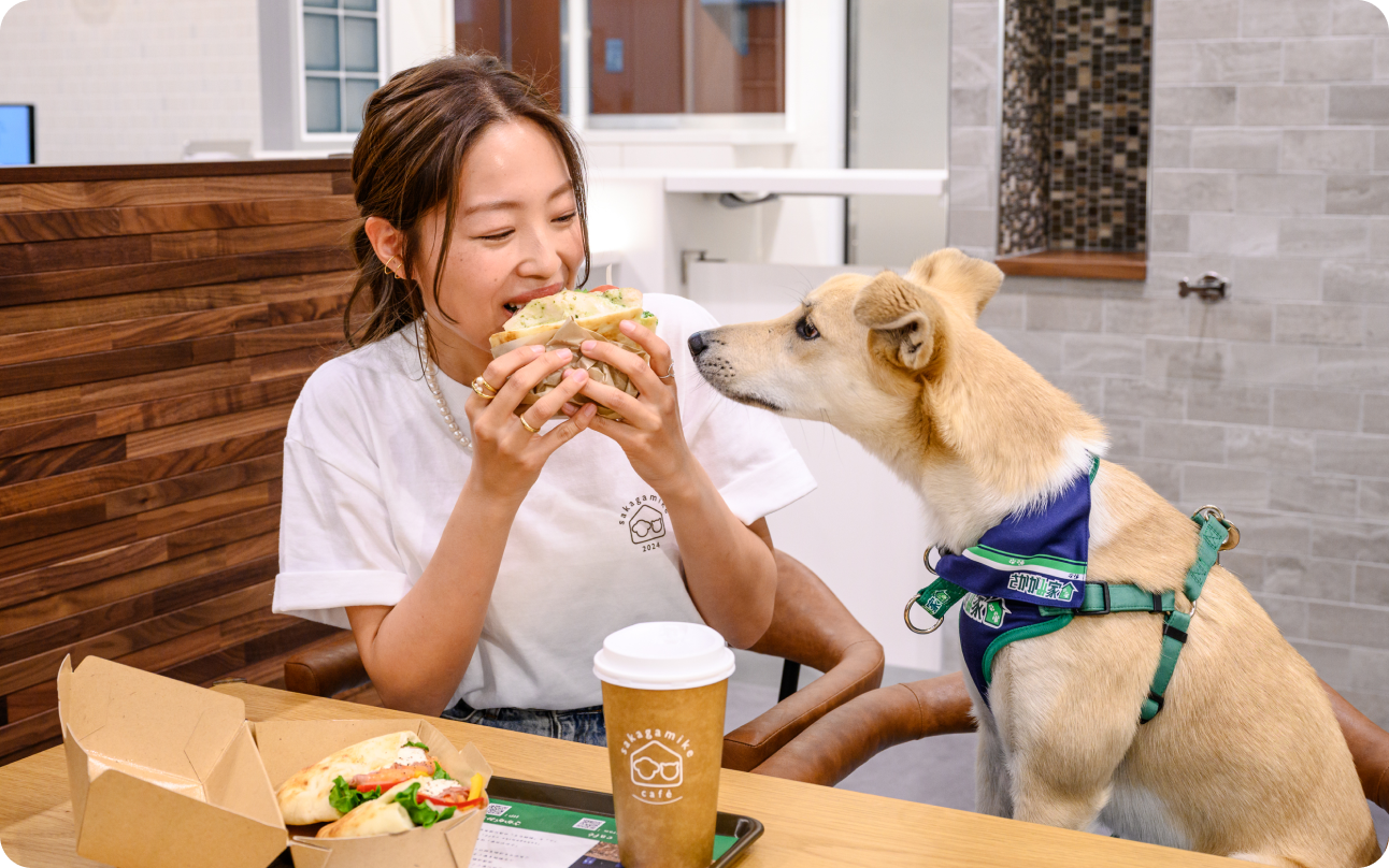 カフェ店内イメージ